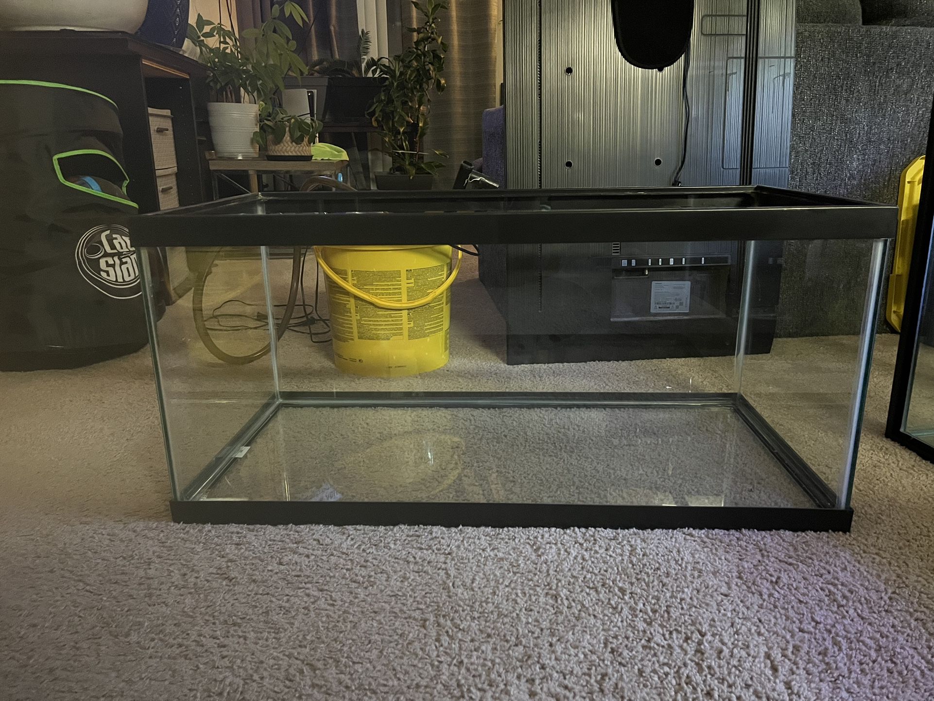 40 Gallon Fish Tank