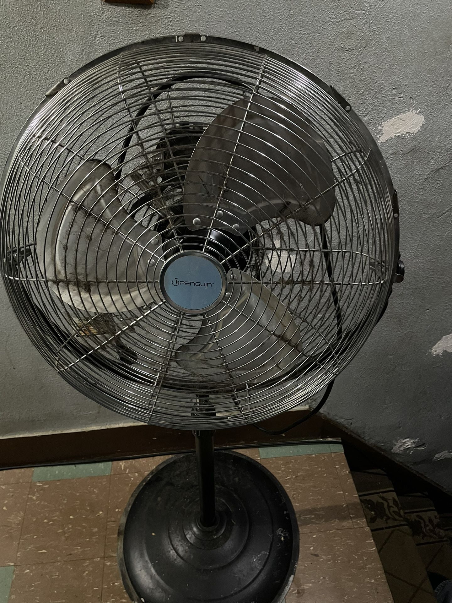 Fan