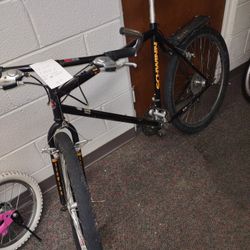 Schwinn Bike 