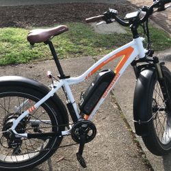 RadRover Fat Tire Ebike In Excellent condition / Free Delivery
