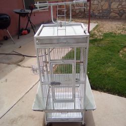 Parrot Cage