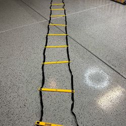 Adrenaline Workout Ladders 