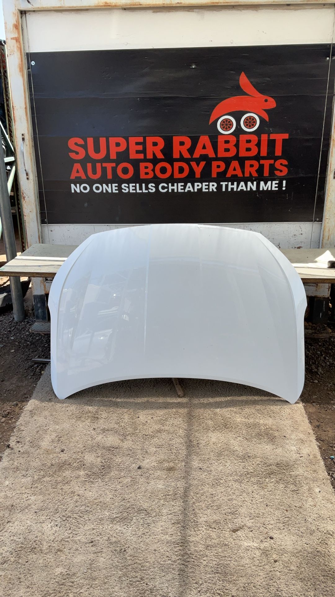 2019 Elantra Hood OEM 2020