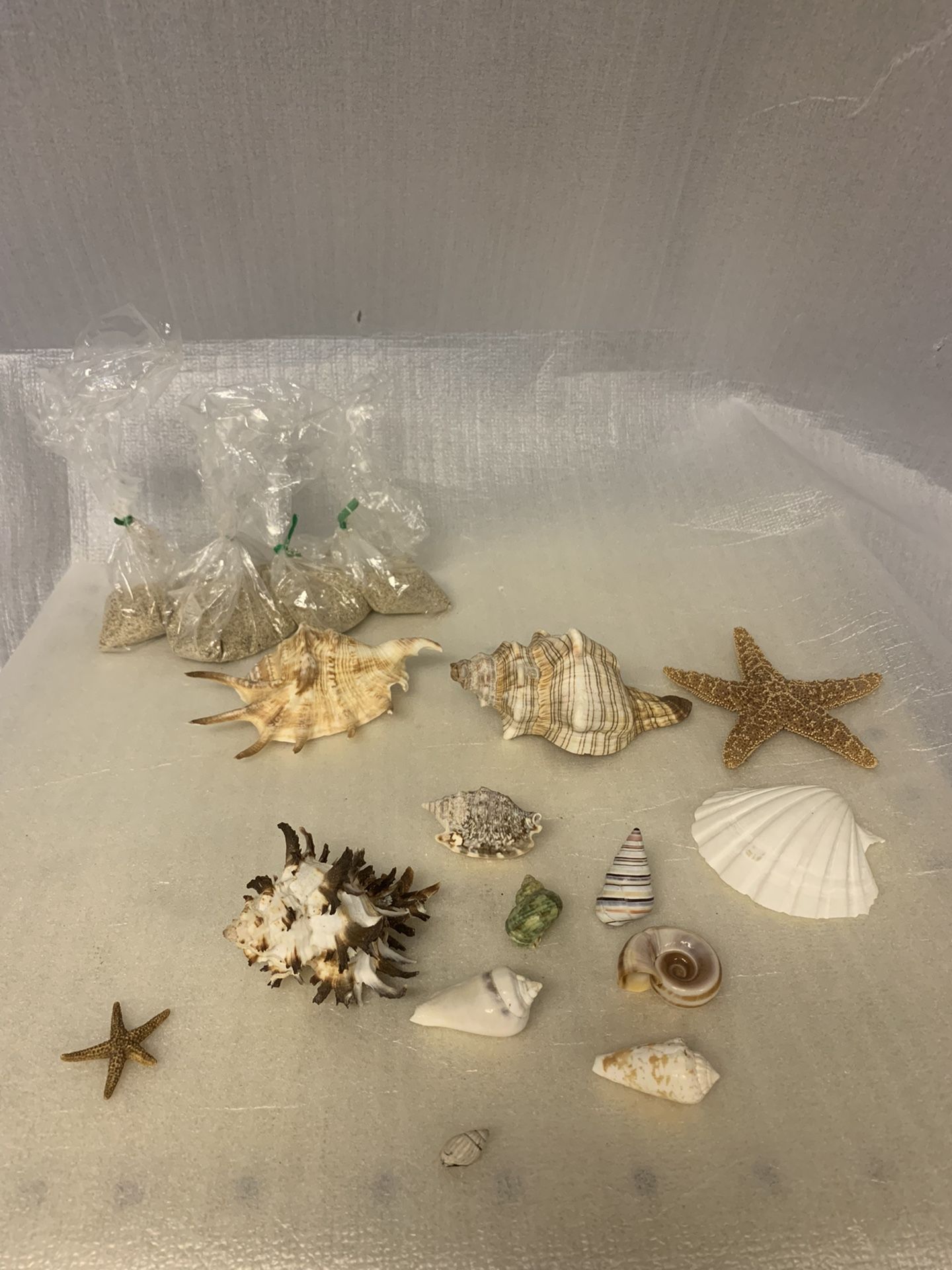 Seashell Craft Lot Starfish Small Shells Red Sponge Coral Small Packs Of Sand