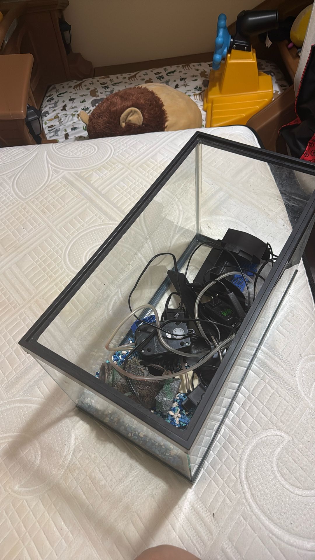 fish tank