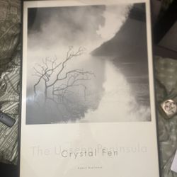 Crystal Fen print - BEAUTIFUL!