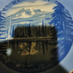 Washington The Evergreen State Plate
