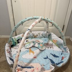 Baby Play Mat Tummy Time Mat 