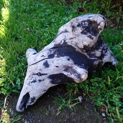 Natural Driftwood For Aquariums Terrariums Decor Etc 