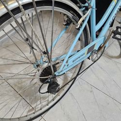 Schwinn's Bike & Schwinn Helmet