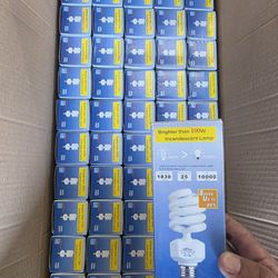 25 Watt CFL Lightbulbs Florescent