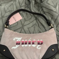 Brand New Juicy Bag