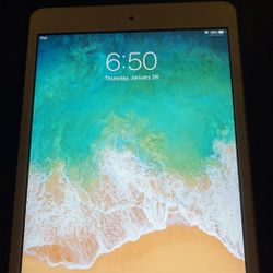 Apple ipad Mini 2