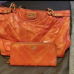 Coach Handbag And Wallet