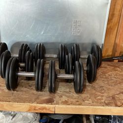 DUMBBELLS.     30.00.   EACH 
