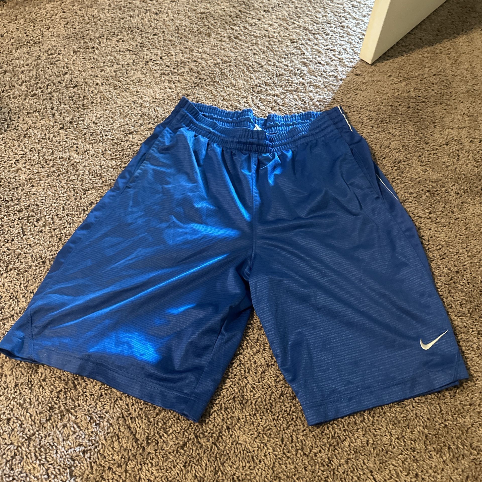 Vintage Blue Nike Shorts Size Large