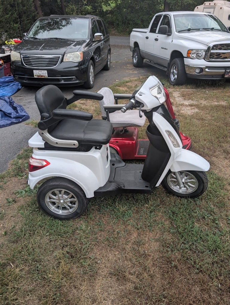 Electric Scooter 