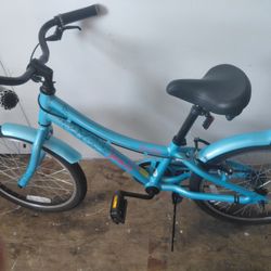  Blue Bike