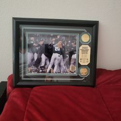 World Series Champion 2003 Florida Marlins Frame