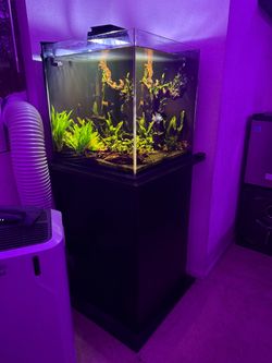 Aquarium Tank with Stand