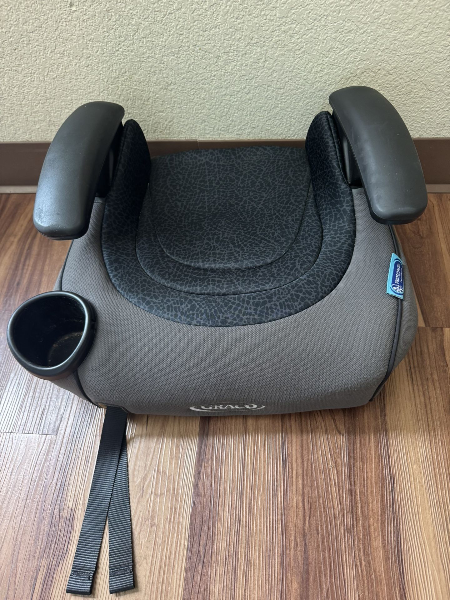 Graco Booster Seat