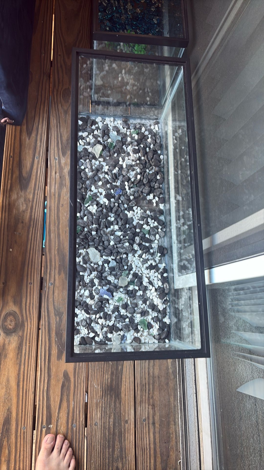 Fish Tanks