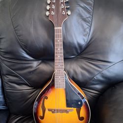 Savannah Mandolin 