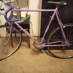 Men's Antique Purple Raleigh Racing Road Bike 