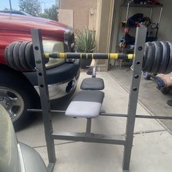 Weight Bench