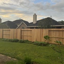 Fence 