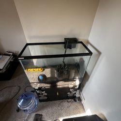 Fish aquarium With stand and now