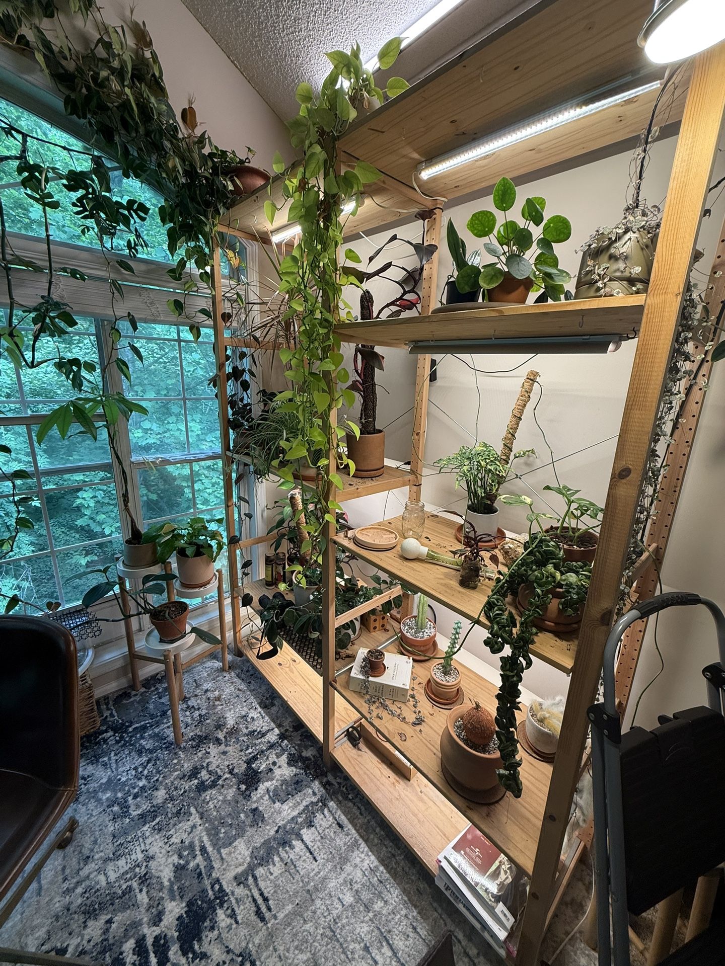 Plant shelf!