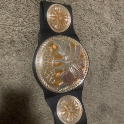 WWE Copper 2014 Tag Team Champions Belt Toy For Kids RARE