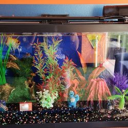 30 Gallon Fish Tank/auto Feeder/filter/LED Daytime&multicolor Light 