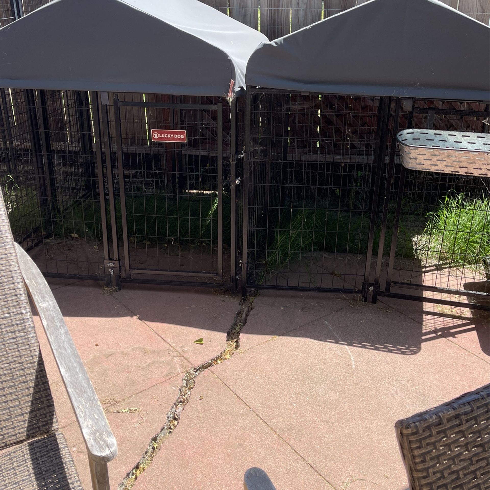 Dog Kennels 2 Each Lucky Dog