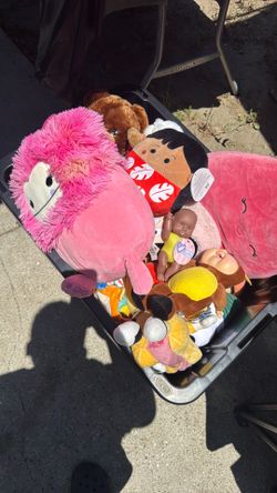 Clothes and toys