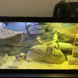 Fish tank reptile tank