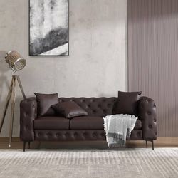 Modern Leather Couch in Chocolate G303-S