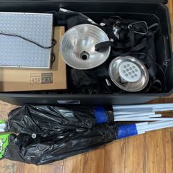Indoor Grow Light And Tent Setup