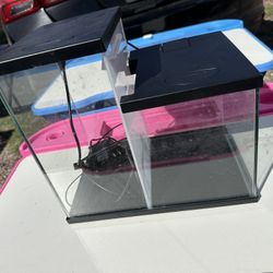 Split Fish Tank
