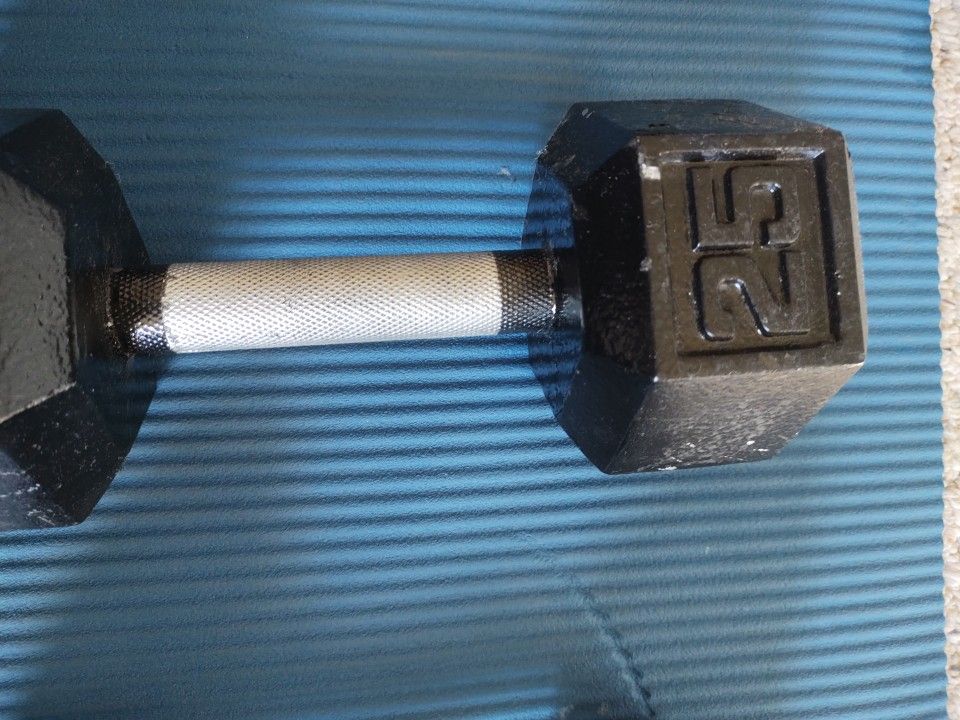 20 Lb And 25 Lb Dumbbell Weights . for Sale in Las Vegas, NV OfferUp