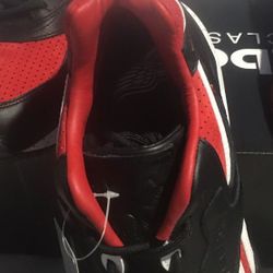 Red Wings Final Year at the Joe Sz9 & 11
