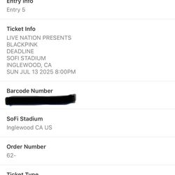 Black Pink Concert Tickets (07/13)