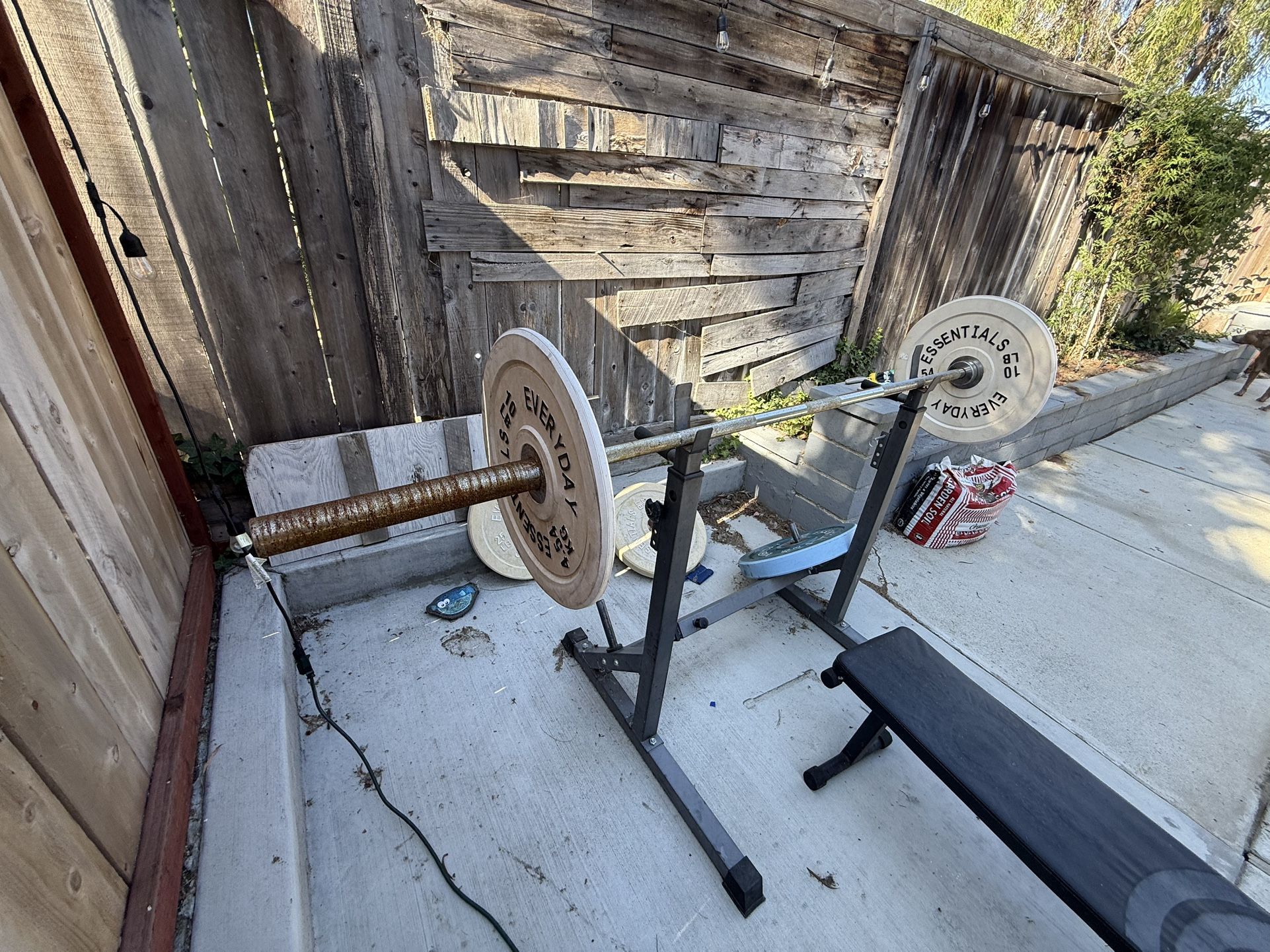 Gym Equipment 
