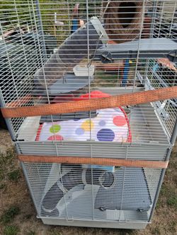Ferret cage