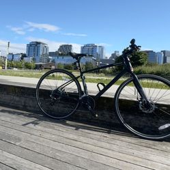 Moving Sale - Cannondale  Quick Disc 5 Bike