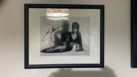Signed mistress of the dark Elvira photo