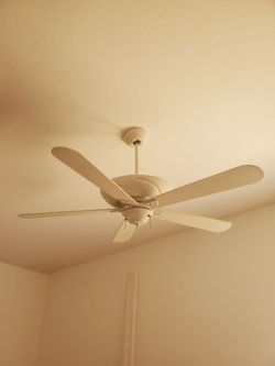 Decorative Ceiling Fan