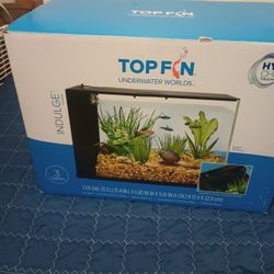 Fish Tank