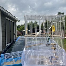 Bird cage & bird travel carrier
